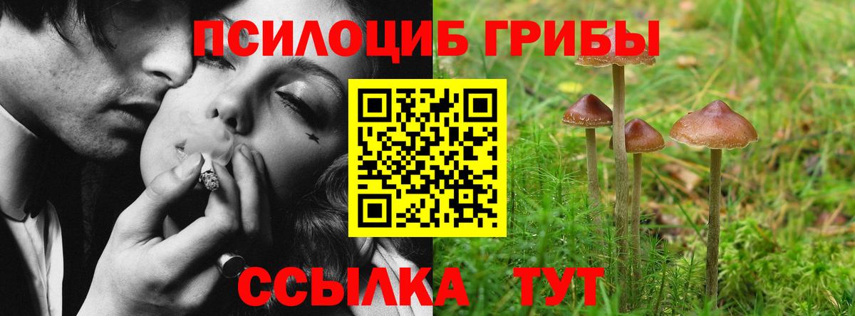 Галлюциногенные грибы MAGIC MUSHROOMS Щёкино