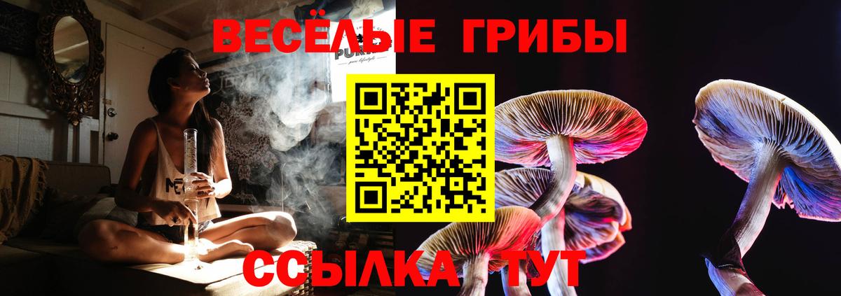 Псилоцибиновые грибы Psilocybe  Вход с VPN  Галлюциногенные грибы ЛСД  Щёкино 